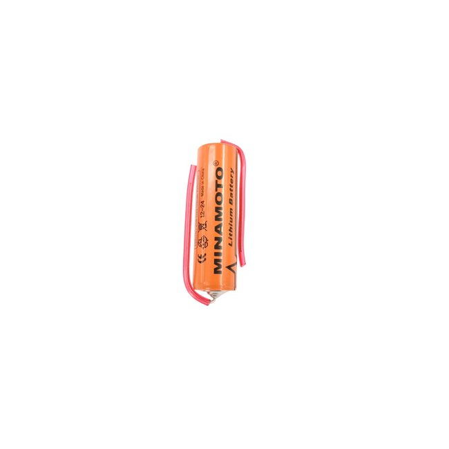 Bateria Lithium AA 3,6V 2400MAH Axial Minamoto